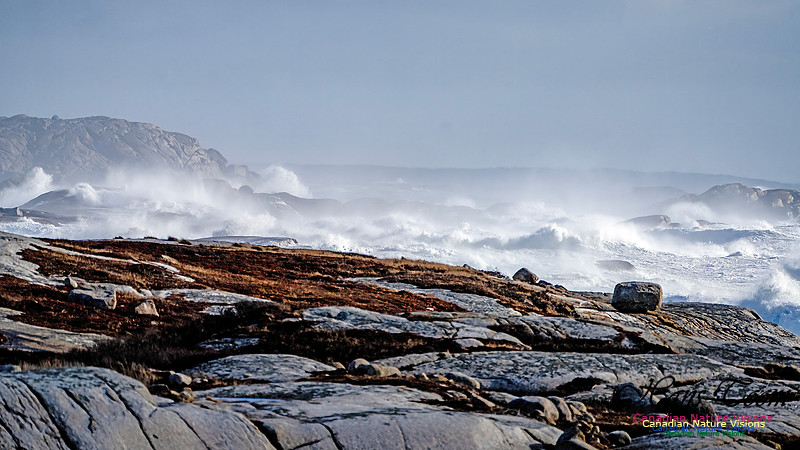 Late Fall Gale Series 2 113