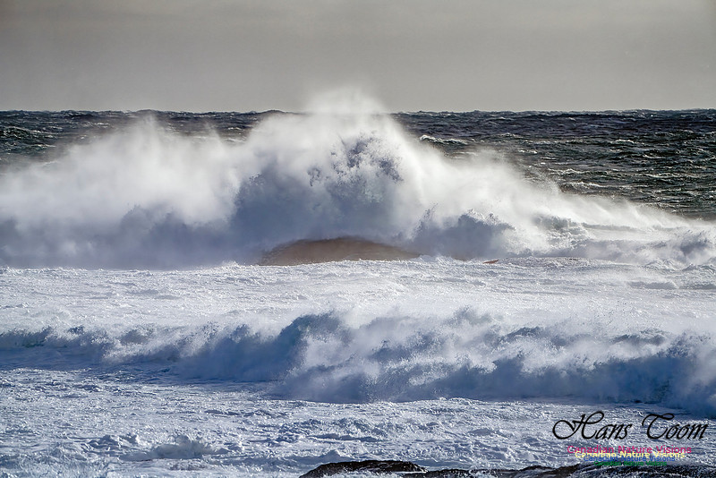Late Fall Gale Series 2 115