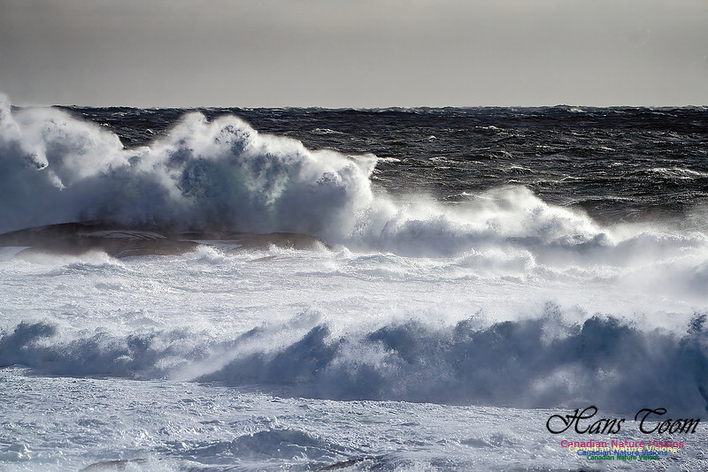 Late Fall Gale Series 2 116