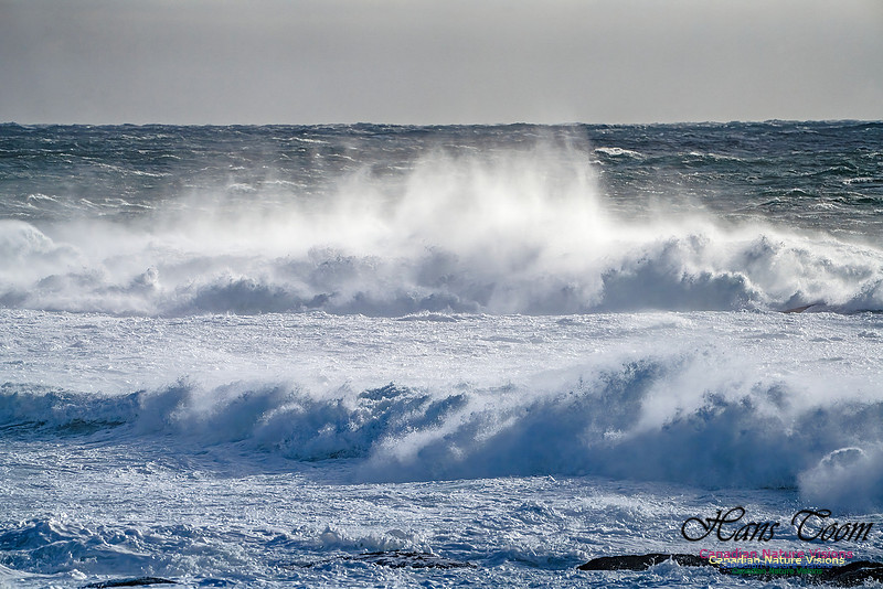 Late Fall Gale Series 2 114