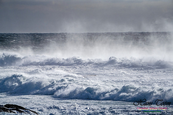 Late Fall Gale Series 2 117