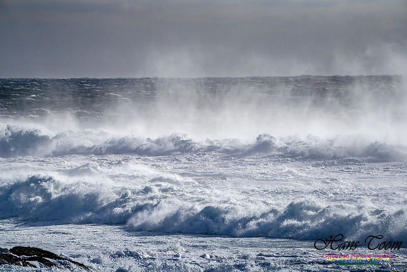 Late Fall Gale Series 2 117