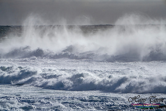 Late Fall Gale Series 2 118
