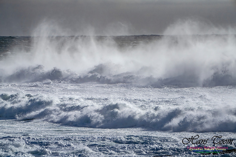 Late Fall Gale Series 2 118