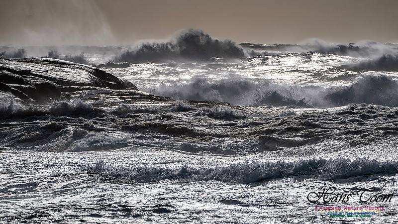 Late Fall Gale Series 3 188