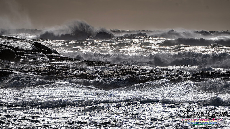 Late Fall Gale Series 3 187
