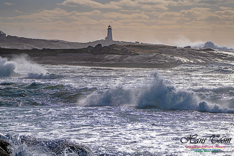 Late Fall Gale Series 3 190
