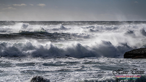 Late Fall Gale Series 3 196