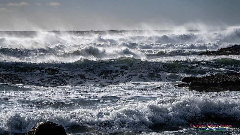 Late Fall Gale Series 3 197
