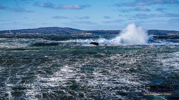 Late Fall Gale Series 3 201