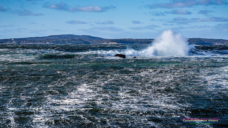 Late Fall Gale Series 3 201