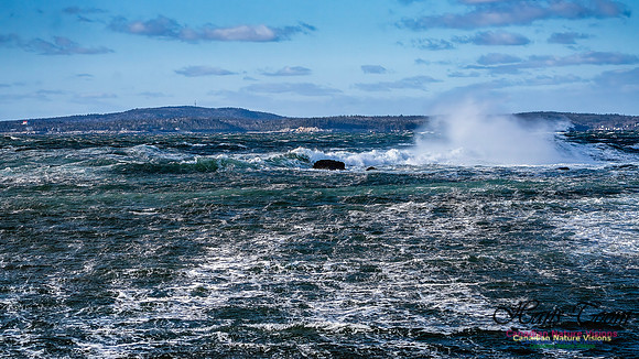 Late Fall Gale Series 3 200