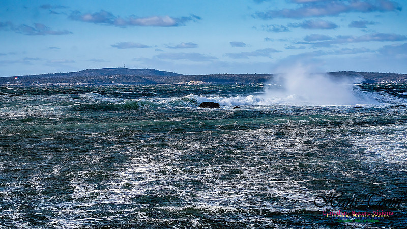 Late Fall Gale Series 3 200