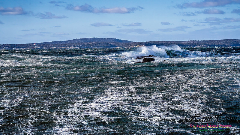 Late Fall Gale Series 3 202