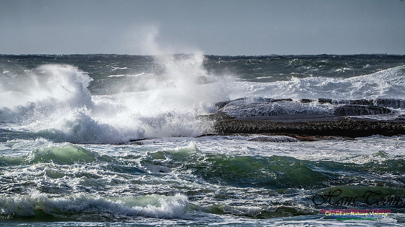 Late Fall Gale Series 3 155