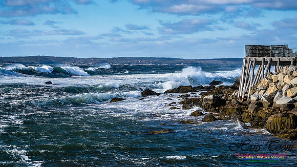 Late Fall Gale Series 3 204