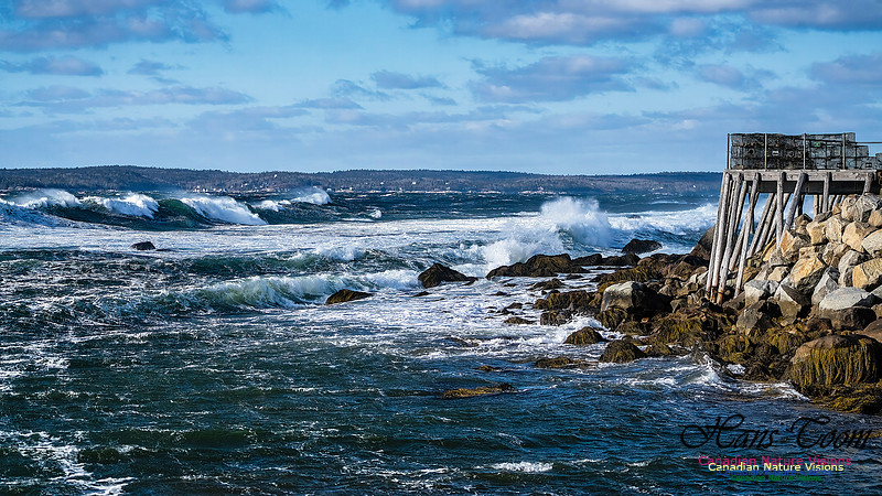 Late Fall Gale Series 3 204