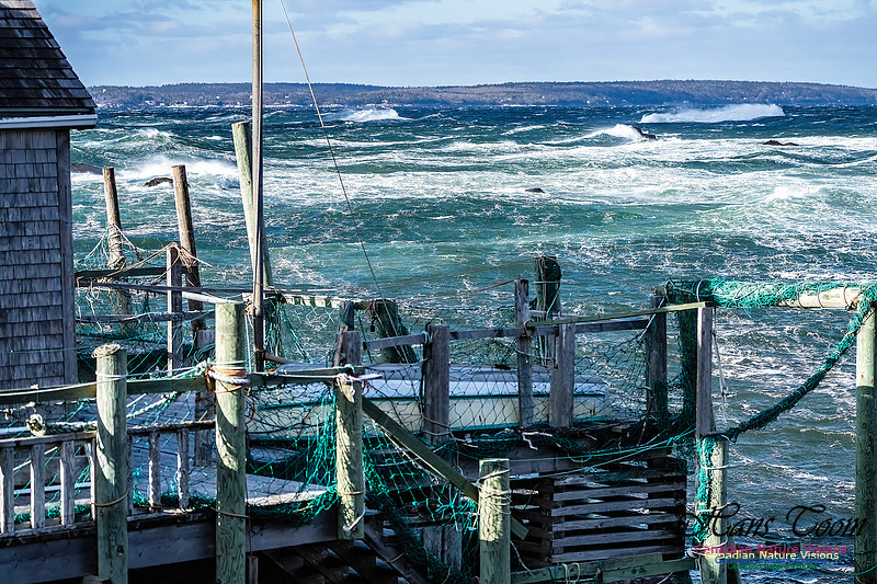 Late Fall Gale Series 3 205