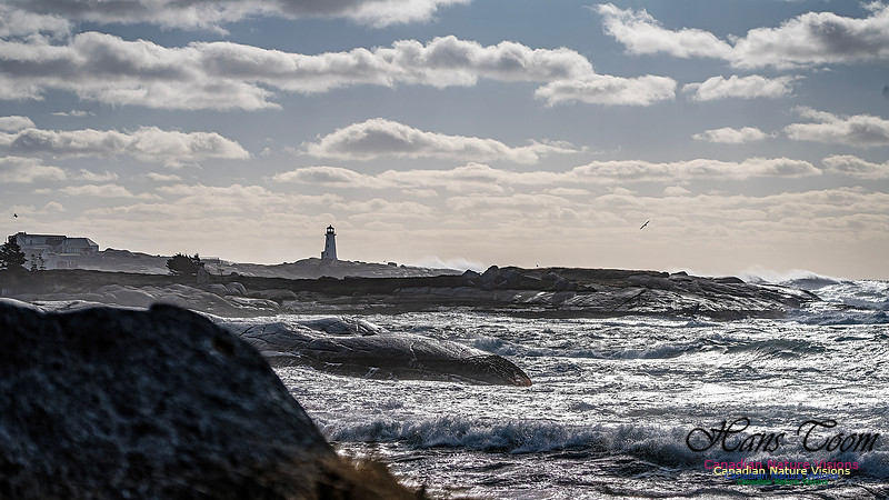 Late Fall Gale Series 3 158