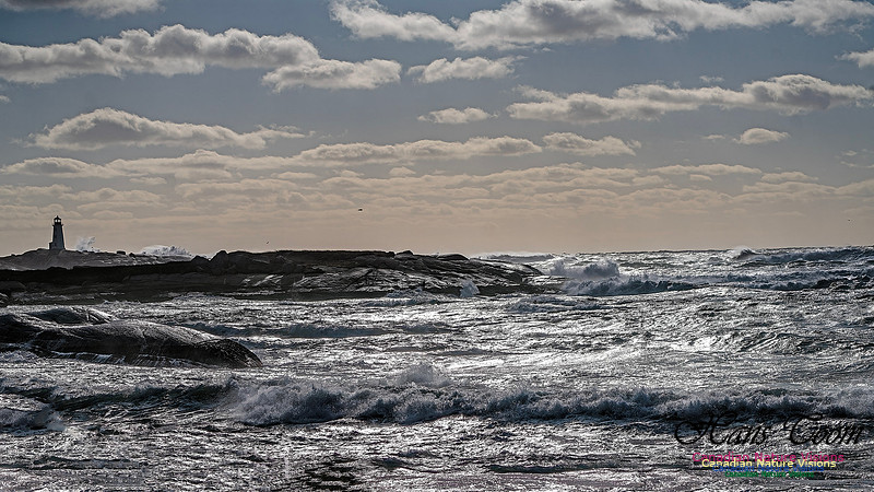 Late Fall Gale Series 3 159