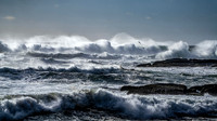 Late Spring Gale-Chebucto Peninsula-Series 3