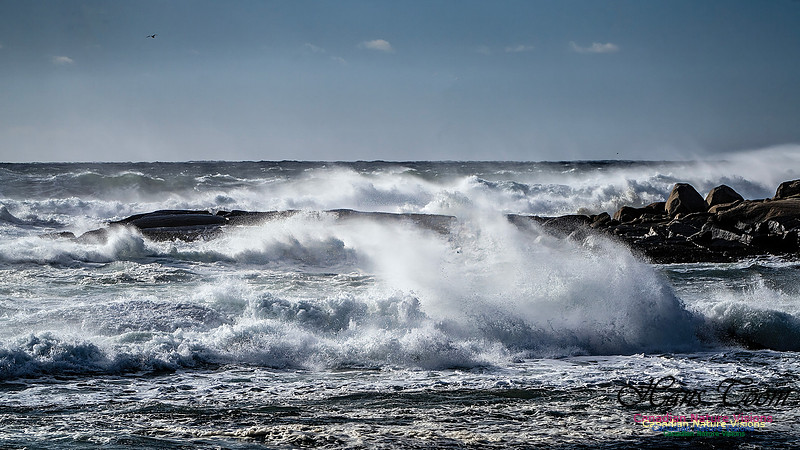Late Fall Gale Series 3 172