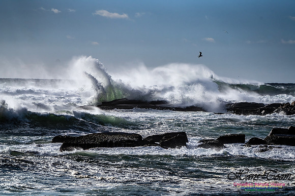 Late Fall Gale Series 3 175