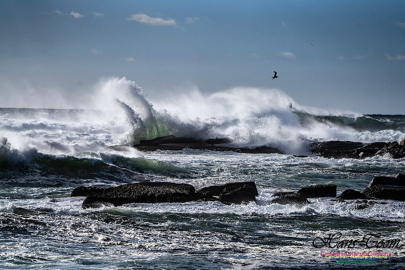 Late Fall Gale Series 3 175