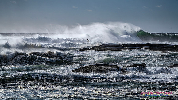 Late Fall Gale Series 3 177