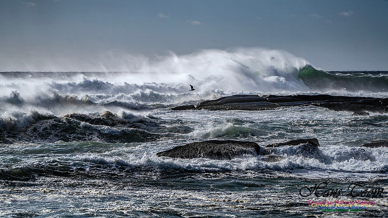 Late Fall Gale Series 3 177