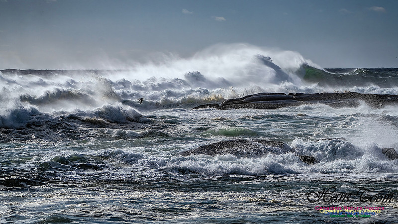 Late Fall Gale Series 3 178
