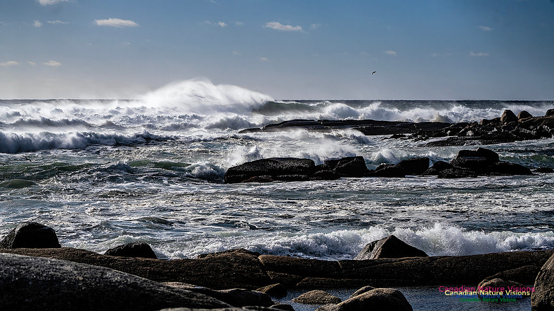 Late Fall Gale Series 3 179