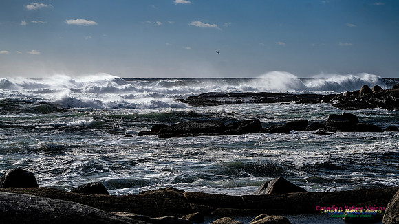 Late Fall Gale Series 3 180