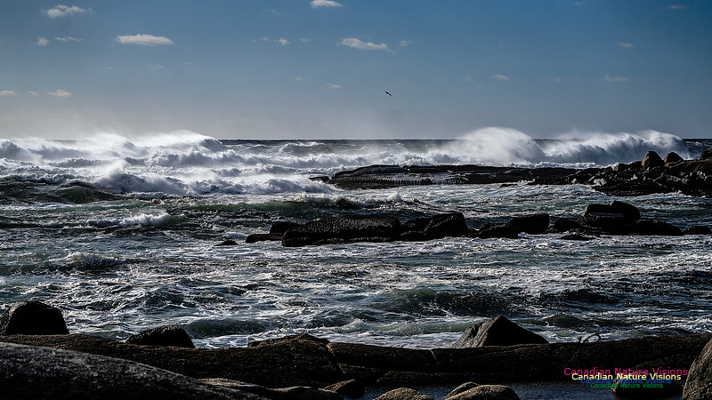 Late Fall Gale Series 3 180