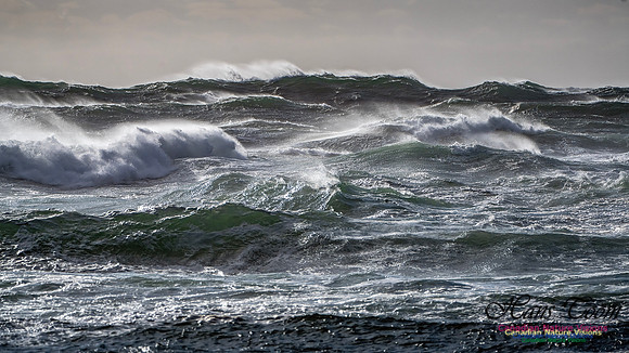 Late Fall Gale Series 3 182