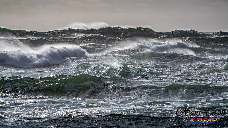 Late Fall Gale Series 3 182