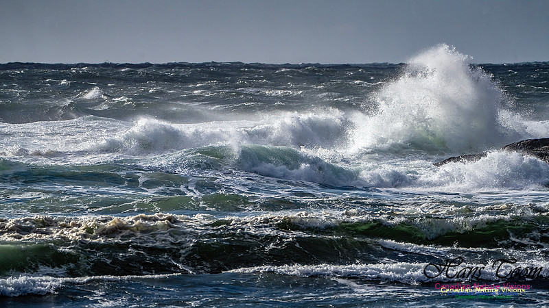 Late Fall Gale Series 3 183