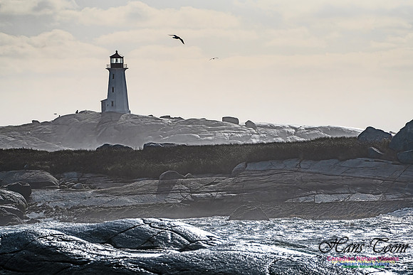 Late Fall Gale Series 3 181