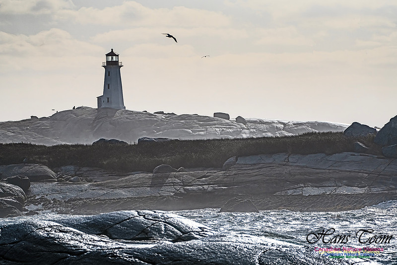 Late Fall Gale Series 3 181