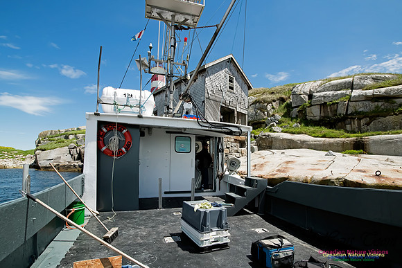 Sambro Island
