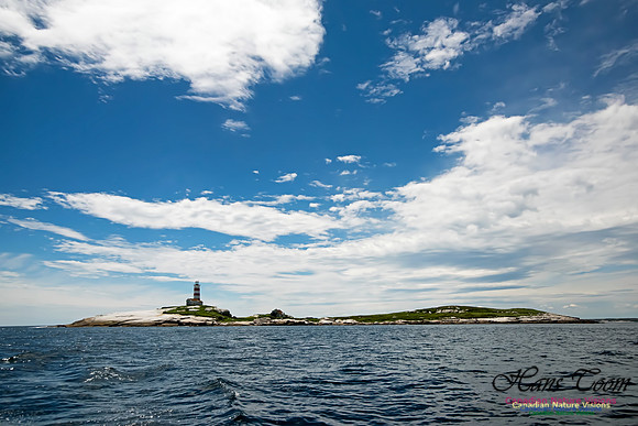 Sambro Island