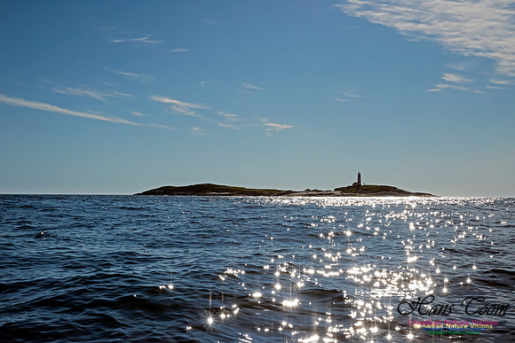 Sambro Island