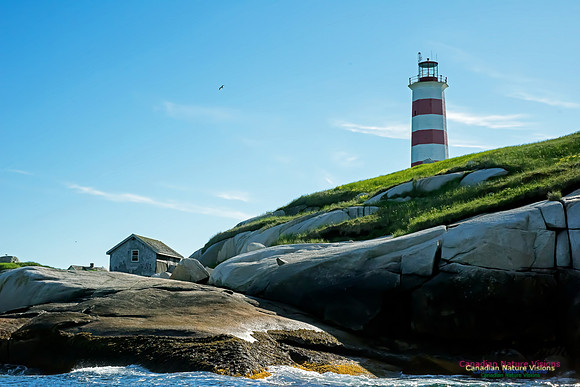 Sambro Island