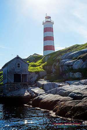 Sambro Island