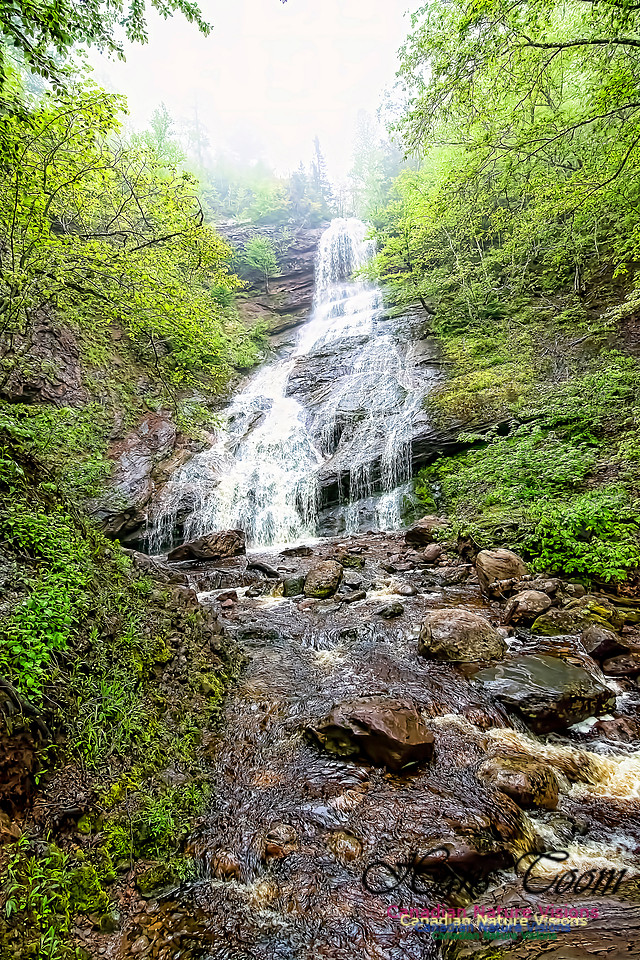 Falls 103