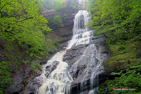 Falls 101