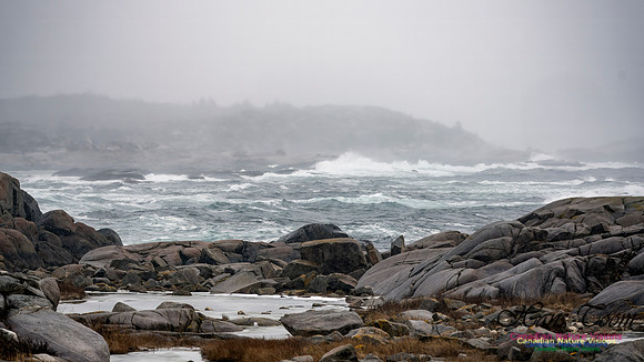 Nova Scotia Winter Scenes 112