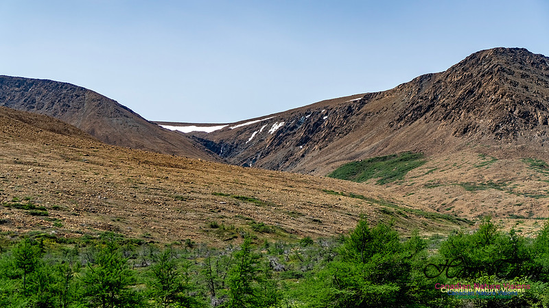 Table Mountains 137