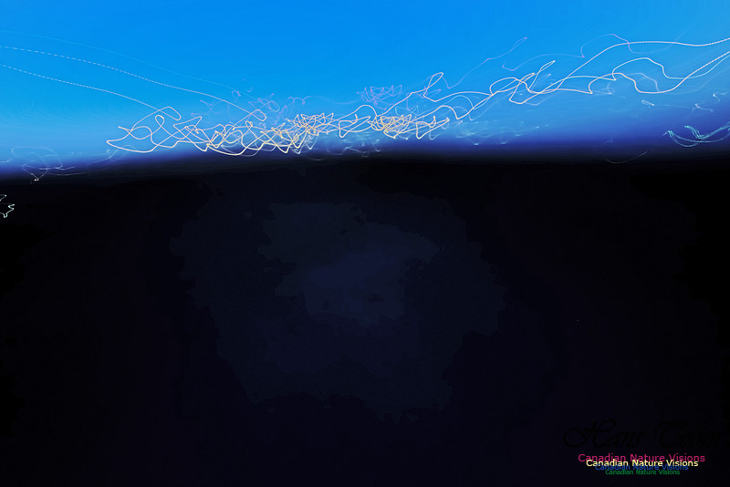 Fireflies