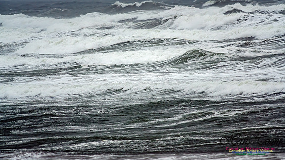 Martinique Beach Gale 102